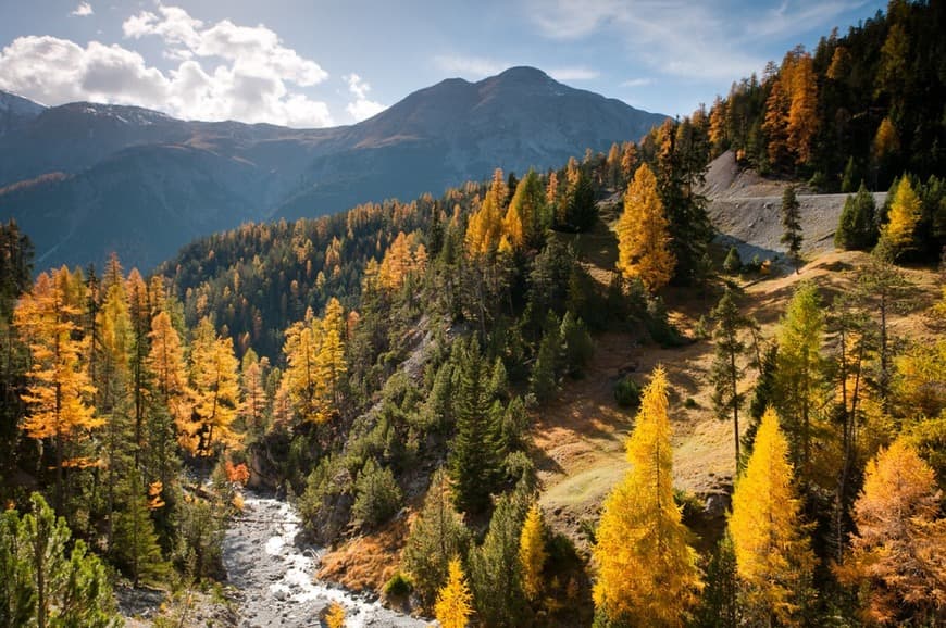 Lugar Swiss National Park