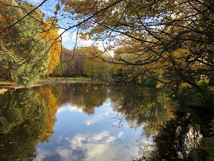 Place St. Stephen's Green