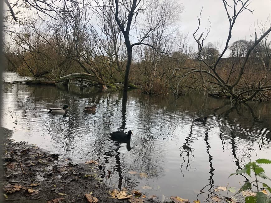 Place Lochend Park