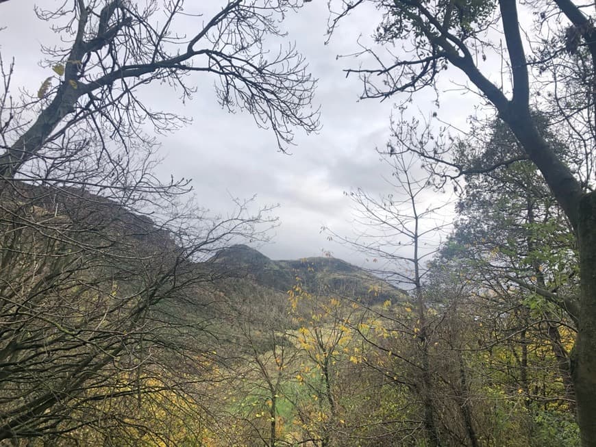 Place Holyrood Park