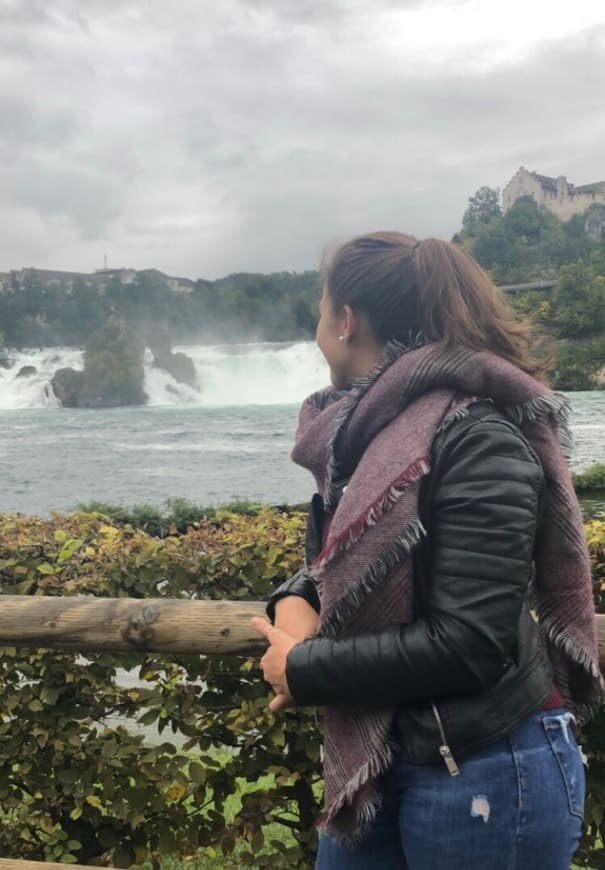 Place Rhine Falls