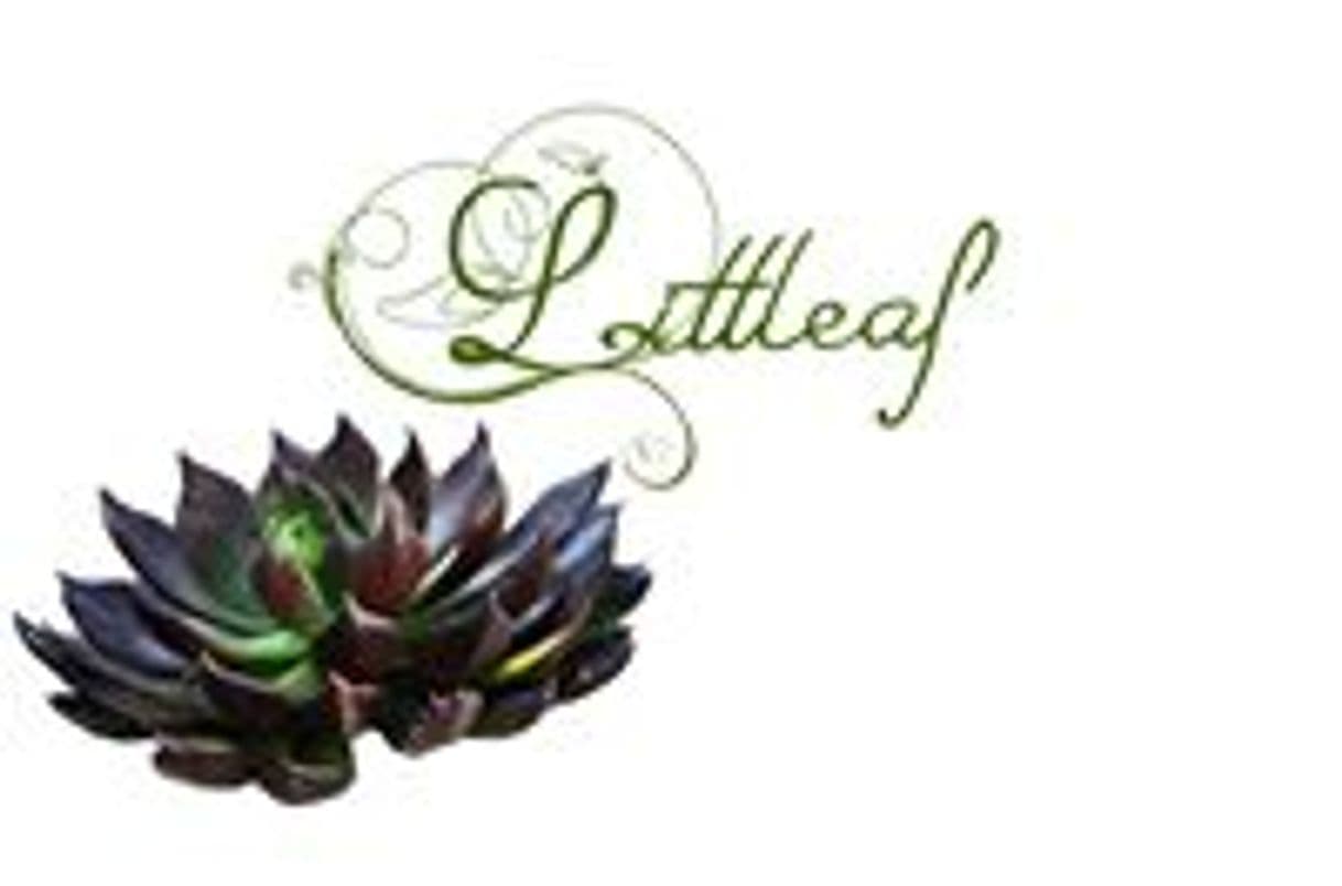 Moda Littleaf Succulents | Facebook