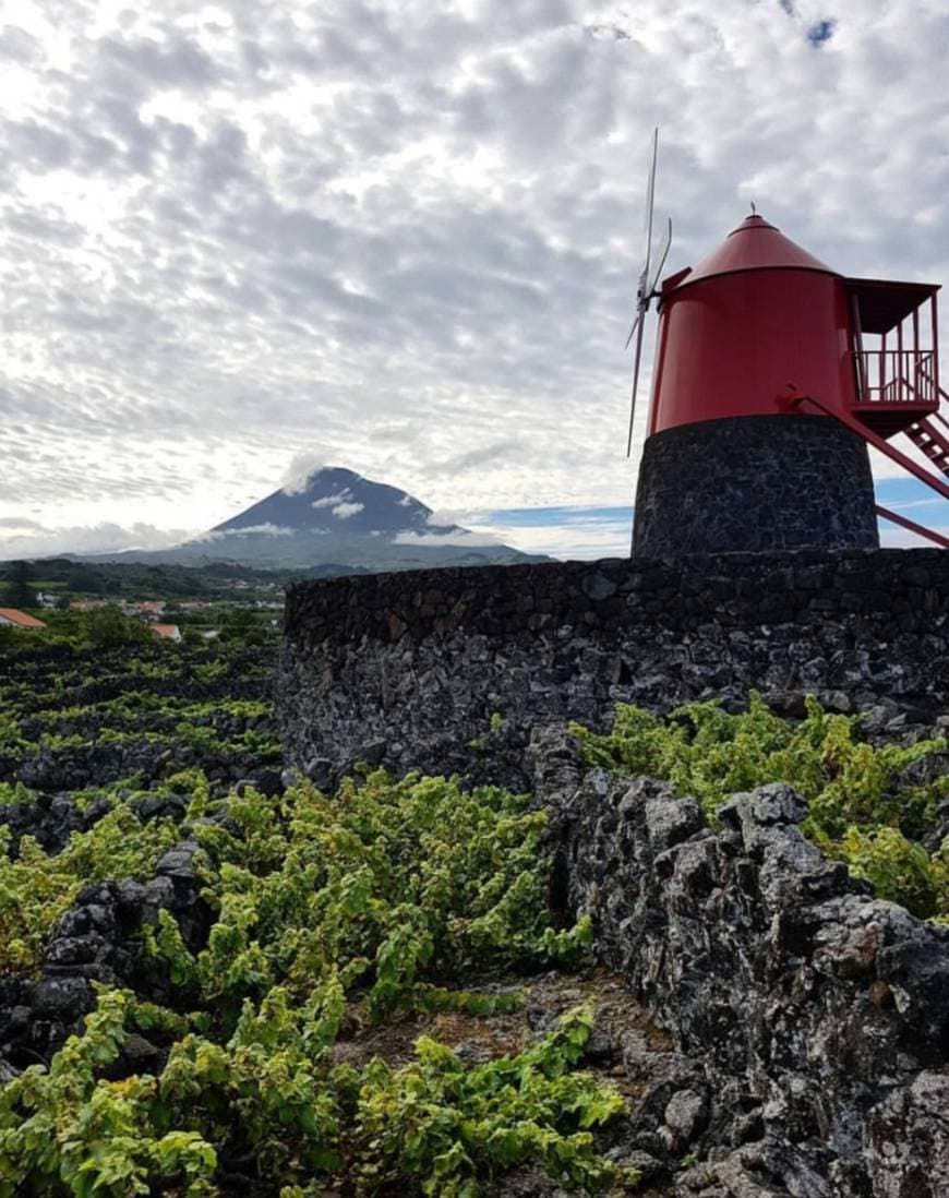 Place Ilha do Pico