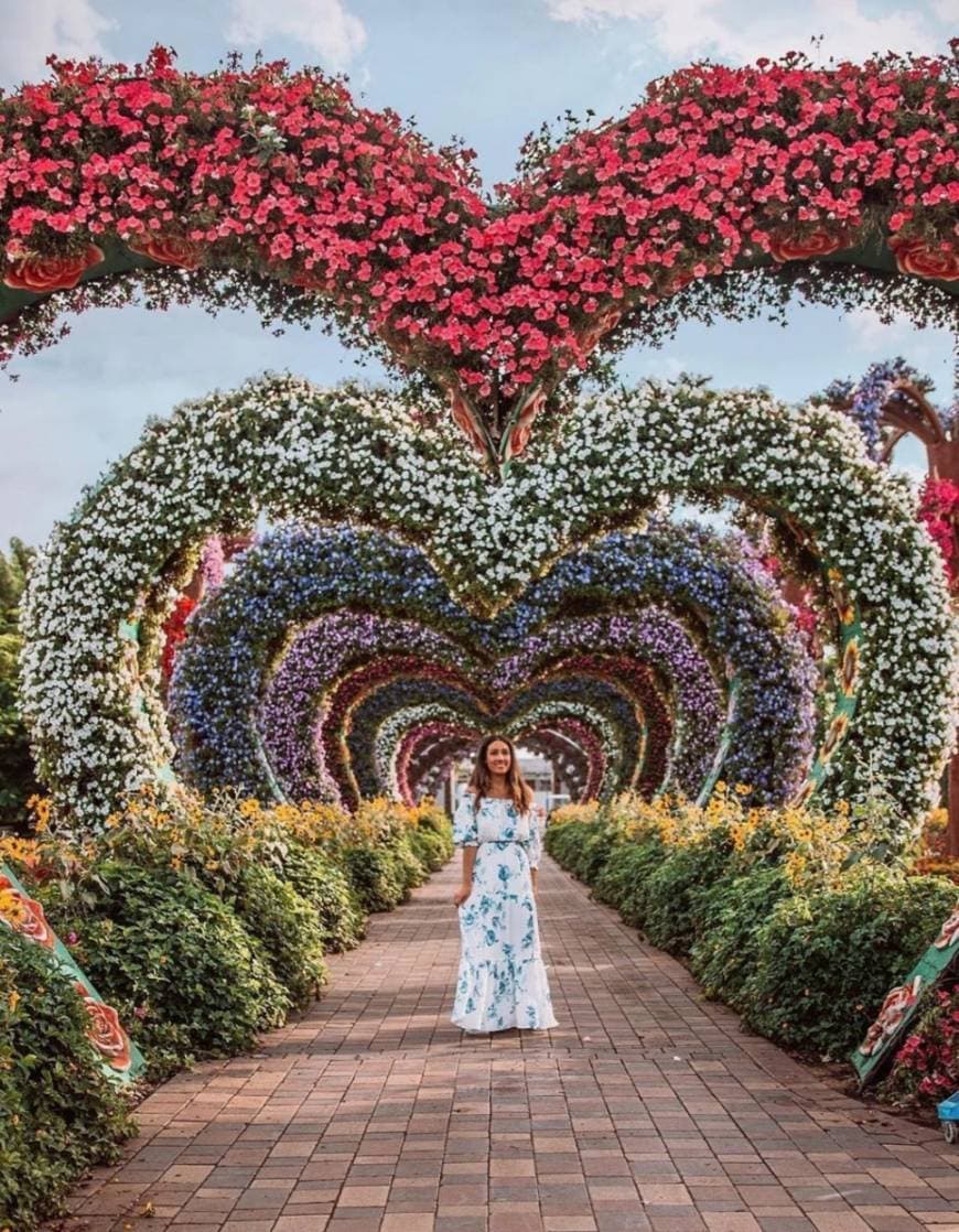 Place Miracle Garden