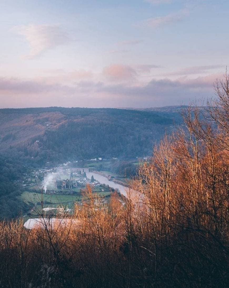 Place Tintern Abbey