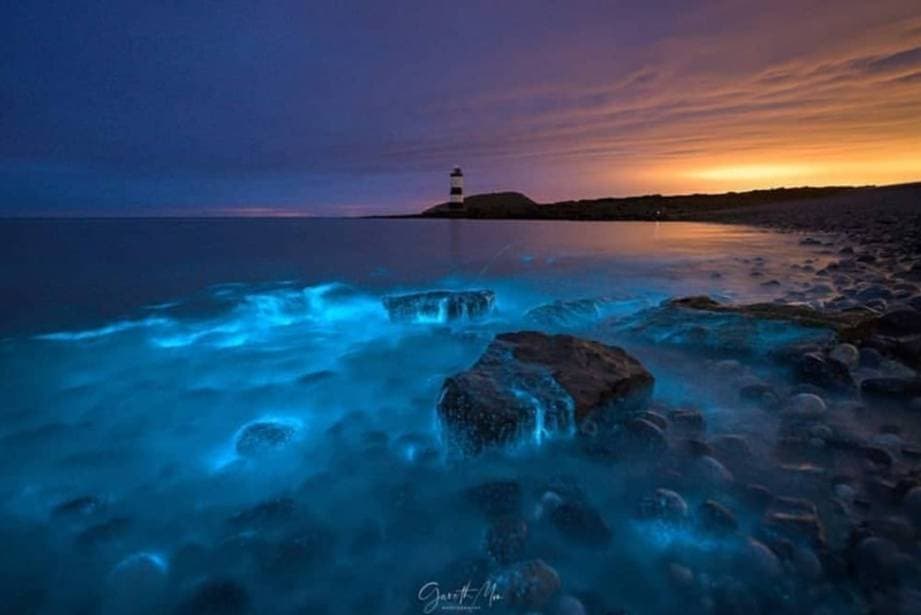 Place Penmon Point