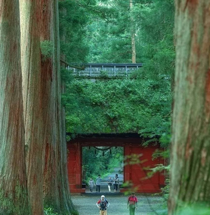 Place Togakushi Shrine Kuzuryusha