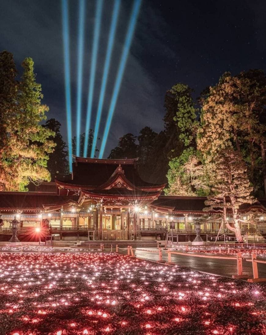 Place Taga Taisha