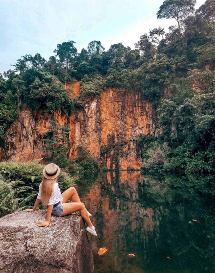 Place Bukit Timah Nature Reserve