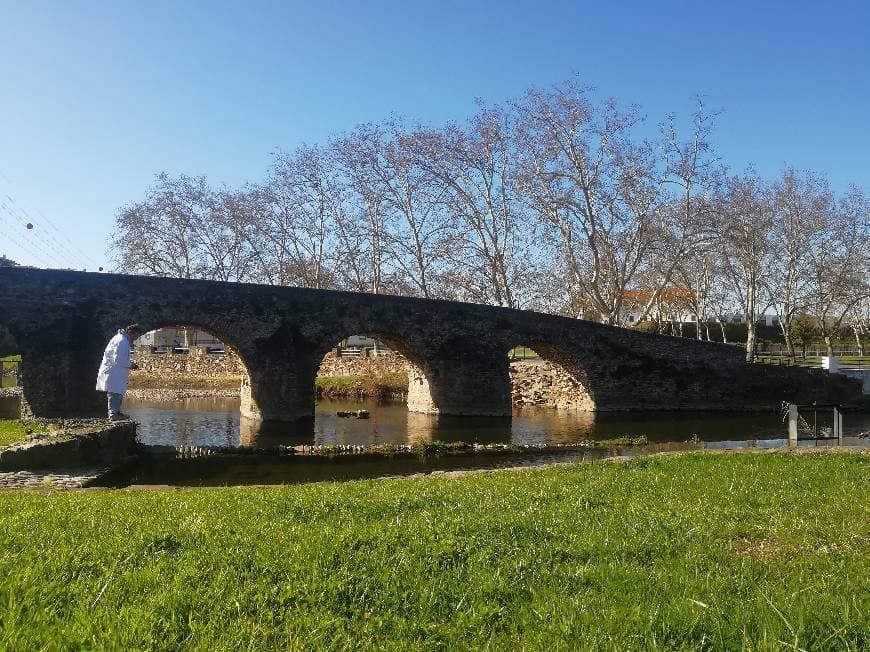 Place Pedrógão Grande