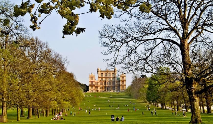 Place Wollaton Park