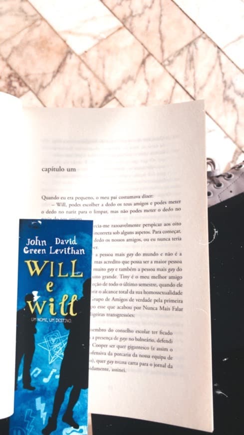 Book Will & Will