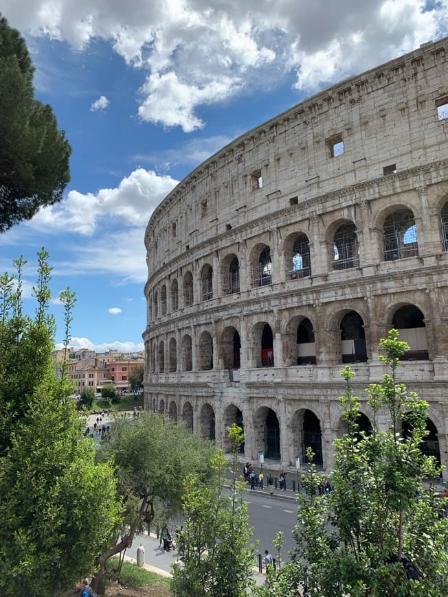 Lugar Coliseo de Roma