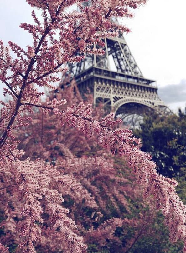 Lugar Torre Eiffel