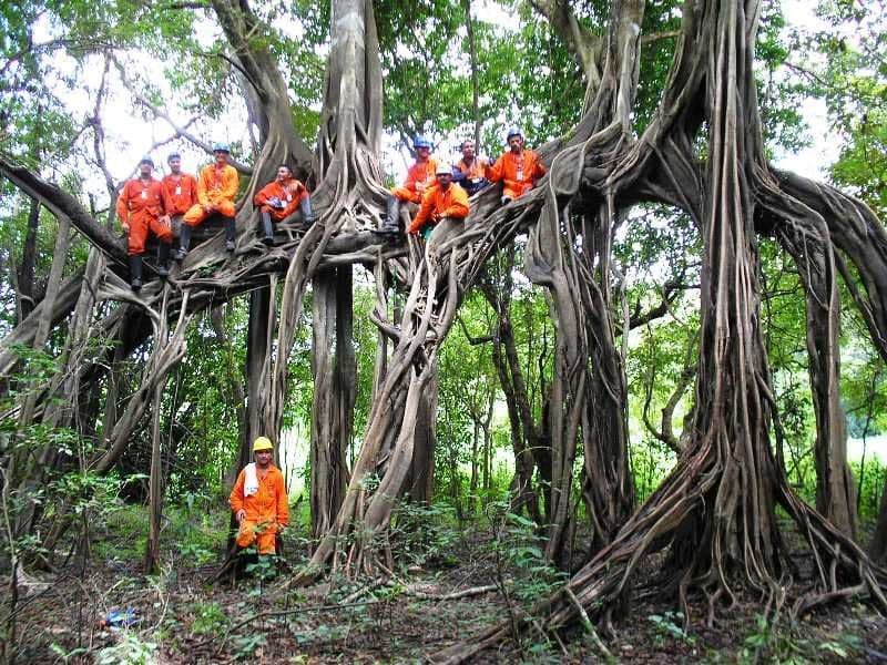 Lugar Amazonia