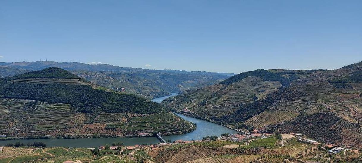 Place Alto Douro Wine Region (UNESCO)