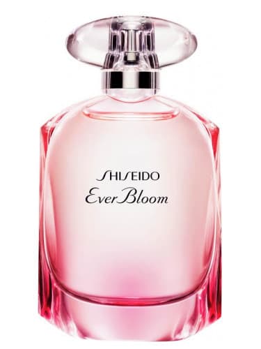 Moda Perfume ever bloom