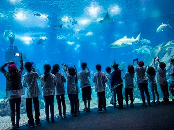 Lugar Oceanario de Lisboa