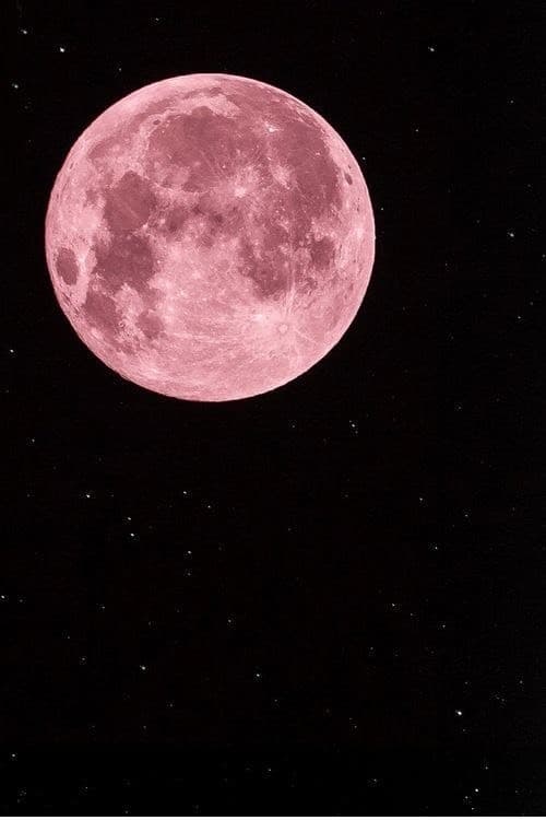 Moda Pink moon - Fondo de pantalla 