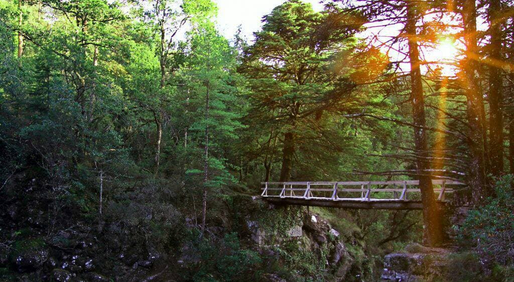 Place Peneda-Gerês National Park