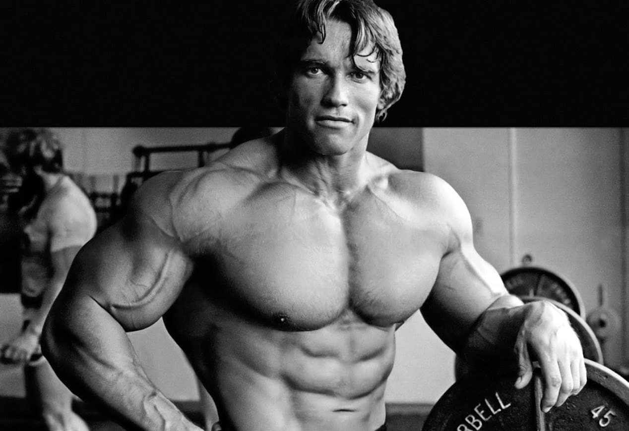 Moda Arnold Schwarzenegger