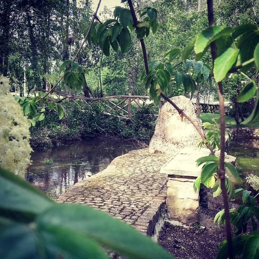 Place Parque da Fonte da Pedra