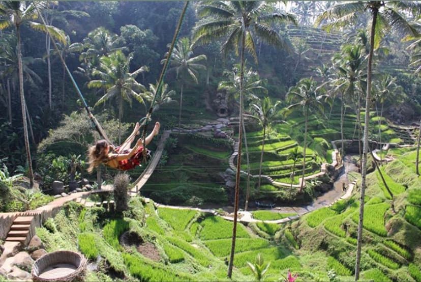 Place Tegallalang Rice Terrace