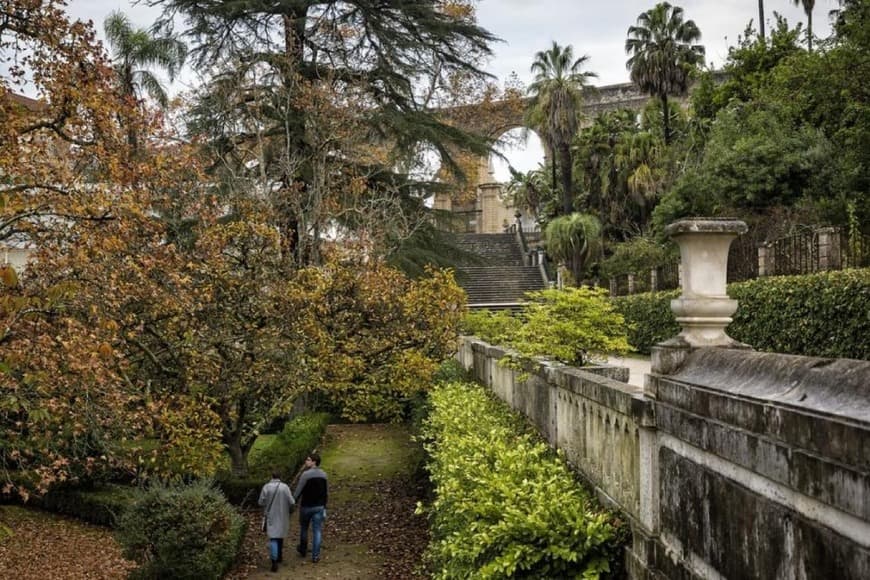 Lugar JARDIM BOTÂNICO