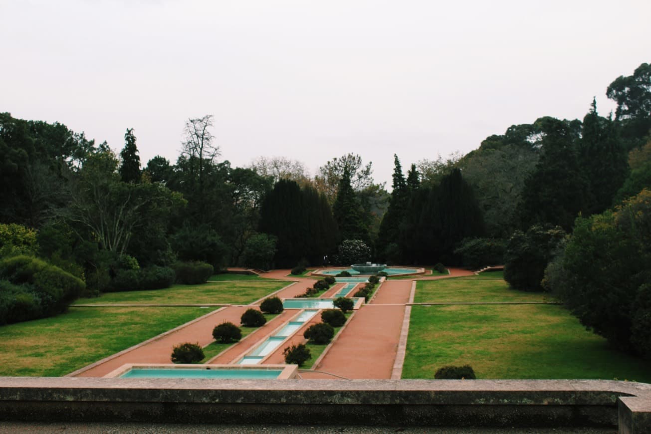 Place Parque de Serralves