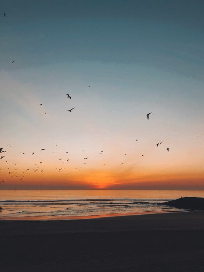 Lugar Costa da Caparica