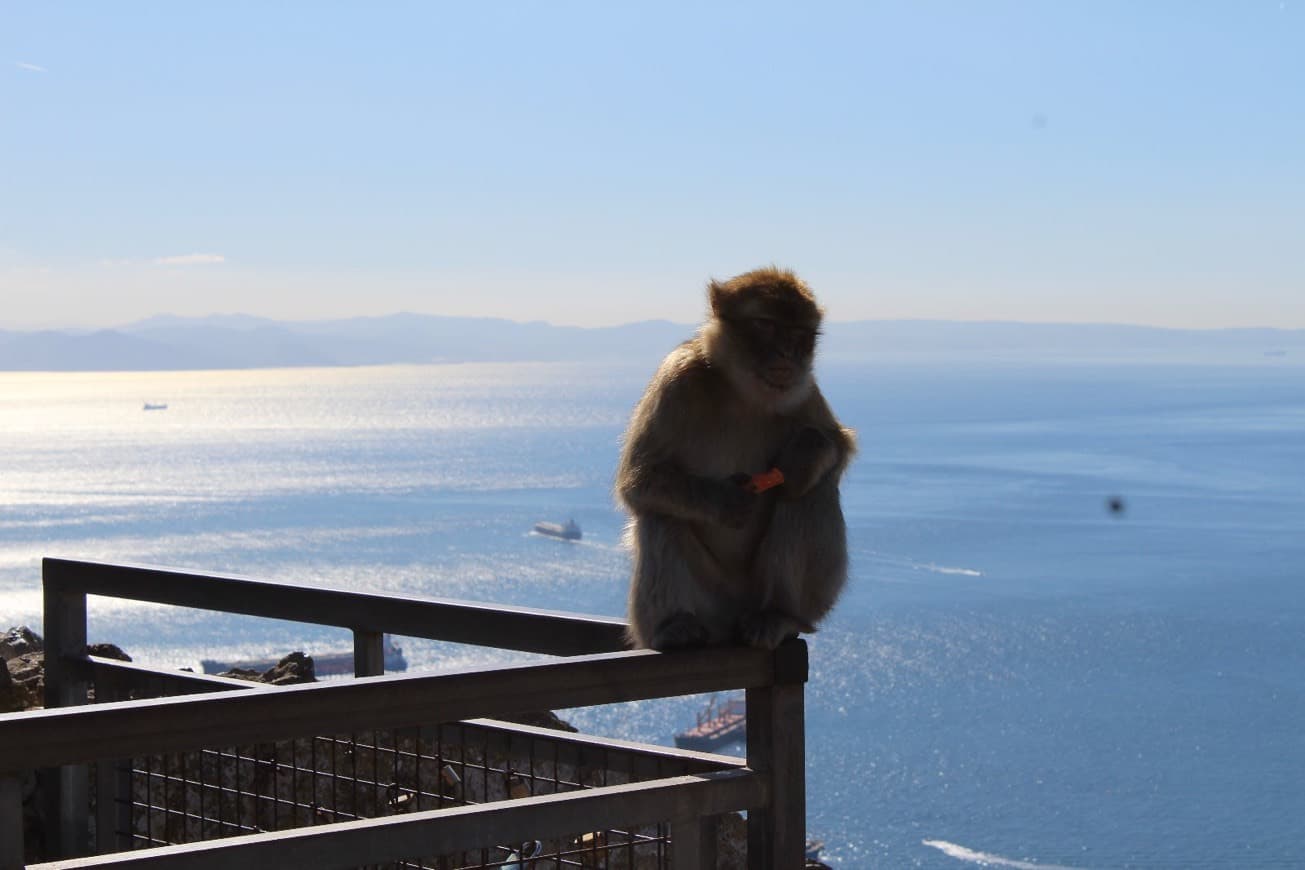 Lugar Gibraltar Nature Reserve