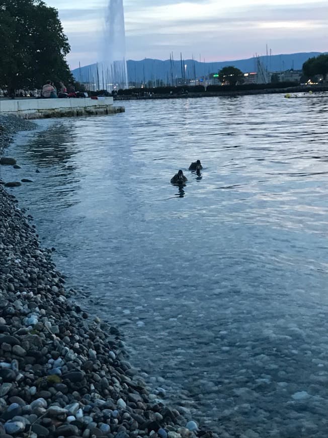 Place Genève-Plage