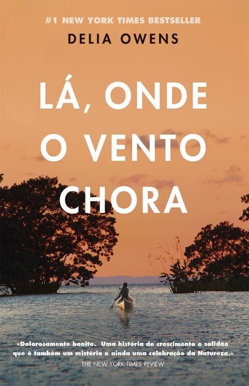 Book Lá Onde o Vento Chora