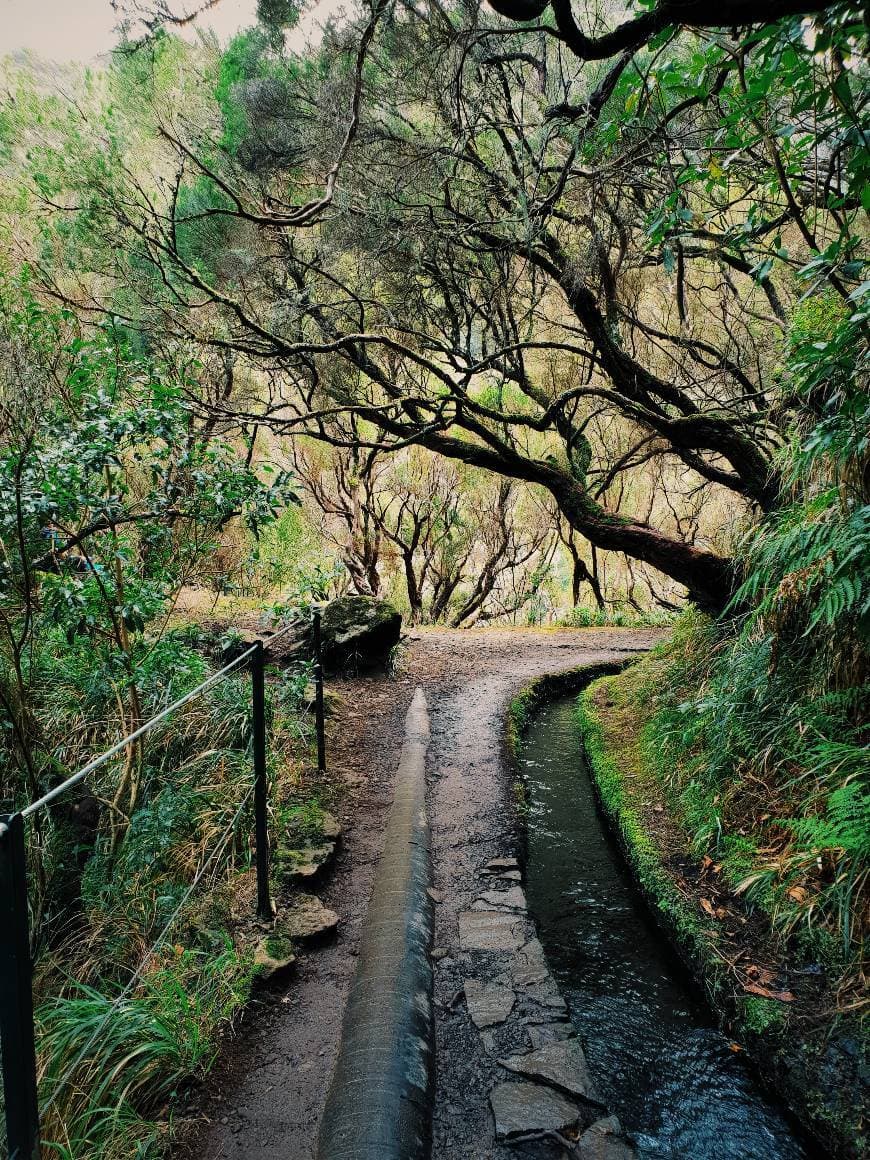 Lugar 25 Fontes Falls