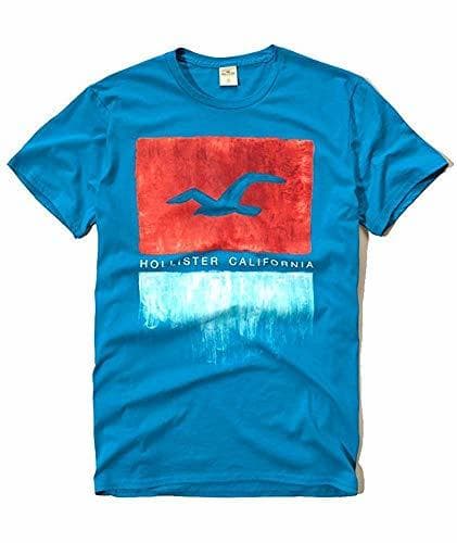 Moda Hollister Men's Graphic Logo T Shirt M