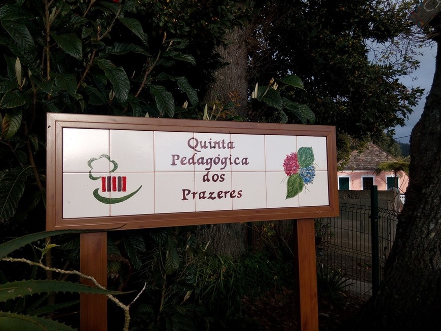 Lugar Quinta Pedagógica dos Prazeres