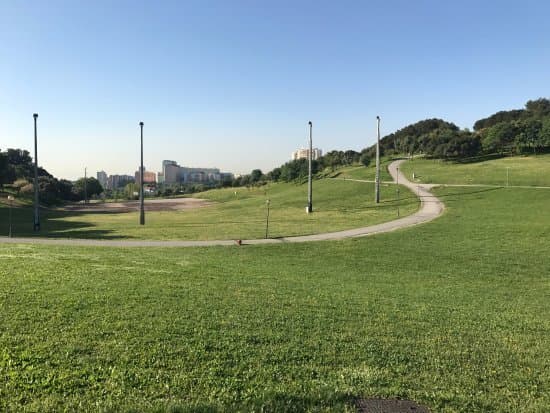 Lugar Parque da Bela Vista