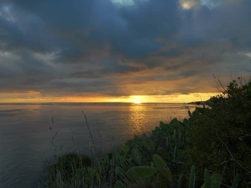 Place Ponta do Garajau