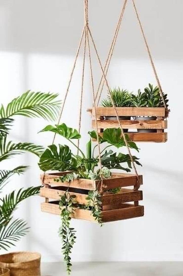 Fashion #DIY 7 - Planta suspensa