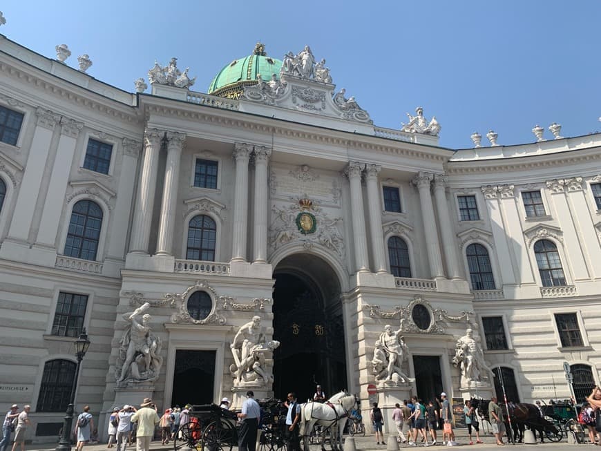 Place Hofburg Palace