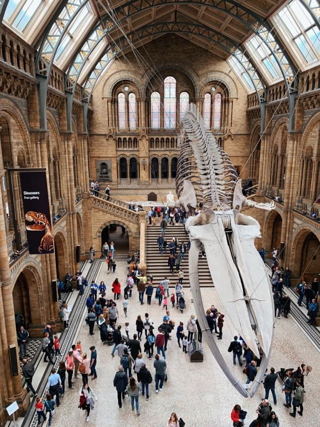 Place Natural History Museum