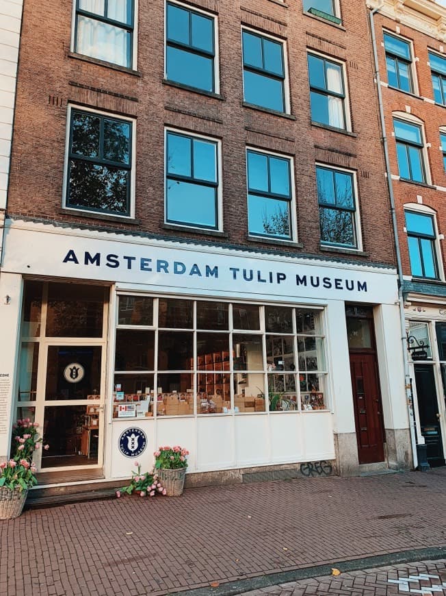 Place Amsterdam Tulip Museum