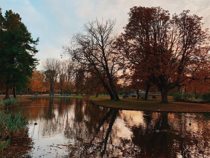 Restaurants Vondelpark