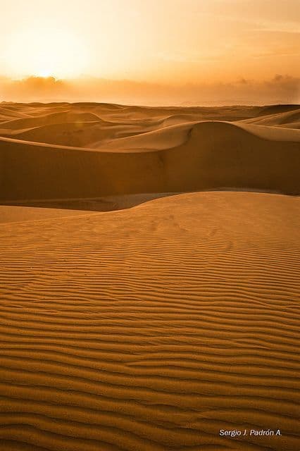 Place Medanos