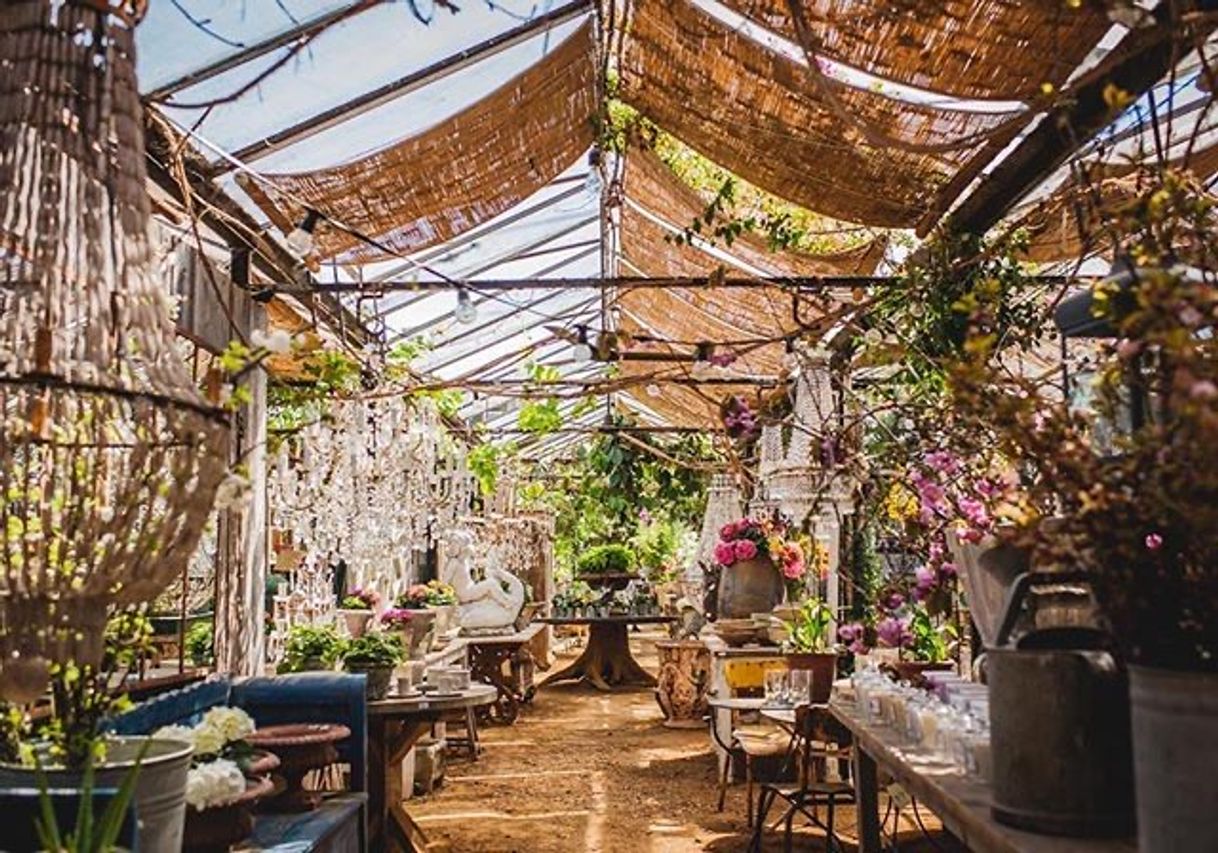 Restaurantes Petersham Nurseries