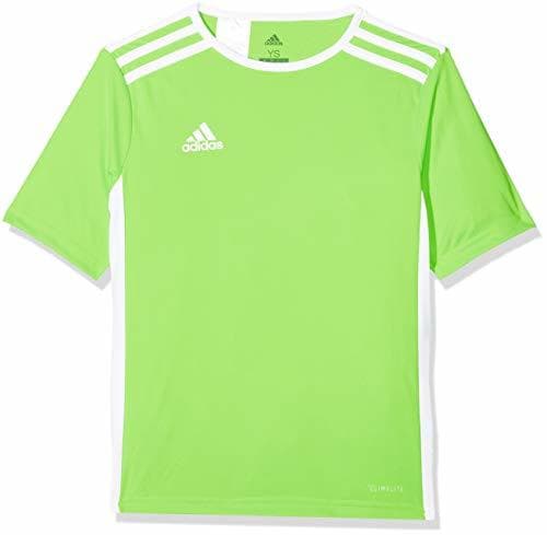 Fitness adidas Entrada 18 JSY Jersey de Fútbol de Manga Corta, Hombre, Verde