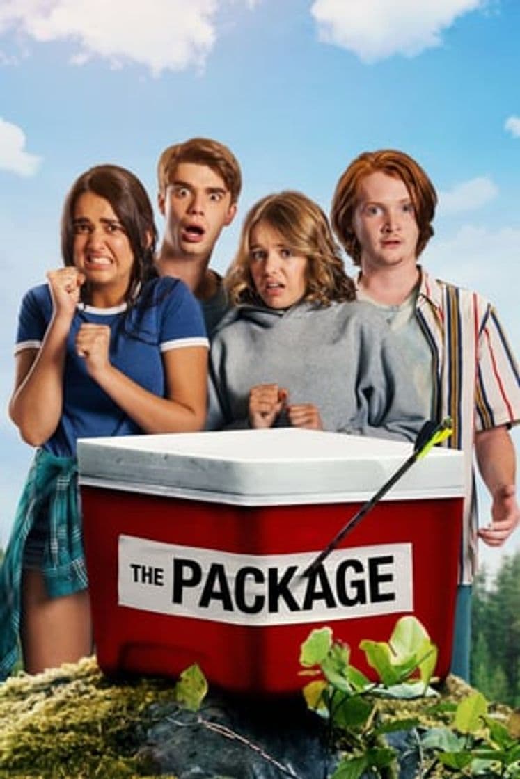 Movie The Package