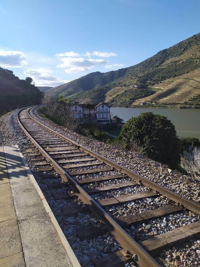 Place Quinta do Vesuvio