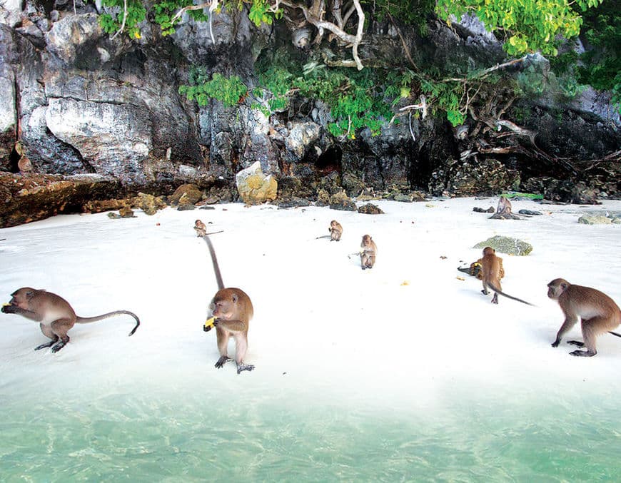 Place Monkey Beach