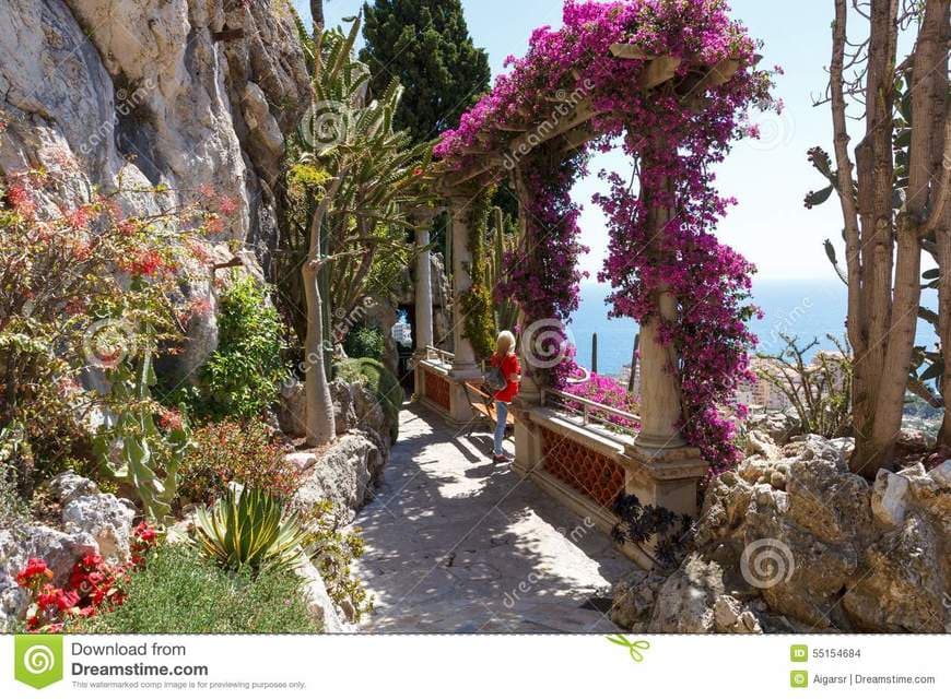 Lugar Exotic Garden of Monaco